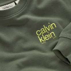Hot Calvin Klein Relaxed Back Print Sweatshirt, , 152 cm Thyme
