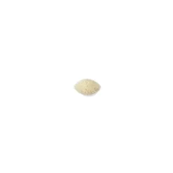 Outlet MAC 217S Blending Brush