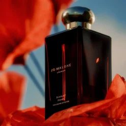 Jo Malone London Scarlet Poppy Cologne Intense, 100 ml* Dufte|Eau De Cologne