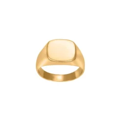Son of Noa Signet Ring, , 60 Gold Plated