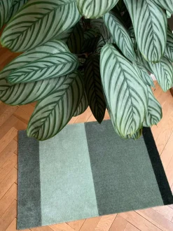 New Tica Copenhagen Stripe Horisontal Gulvtæppe, , 60x90 cm Grøn/Støvet/Mørk Grøn