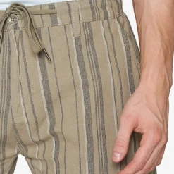 Signal Stripe Shorts, , L* Shorts