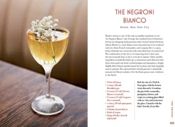 New Mags The Negroni* Mad & Vin|Coffee Table Books