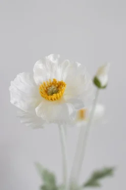 Bloom Objects Valmue Kunstig Blomst,* Kunstige Blomster