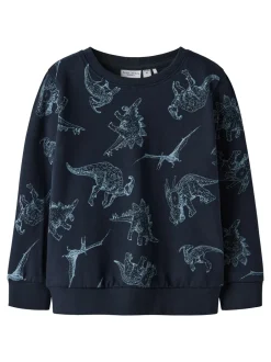 Name It Varon Sweatshirt, , 110 cm*Børn Strik & Sweatshirts