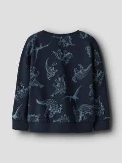 Name It Varon Sweatshirt, , 110 cm*Børn Strik & Sweatshirts