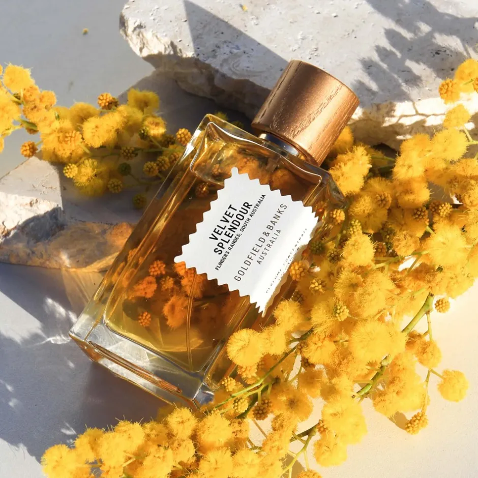 Clearance Goldfield & Banks Velvet Splendor Perfume, 100 ml