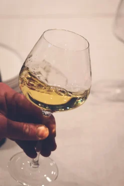 Endeavour White Sand 4-pak Hvidvinsglas, , 46 cl* Glas