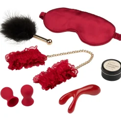 Outlet Sinful Women’s Pleasure Box